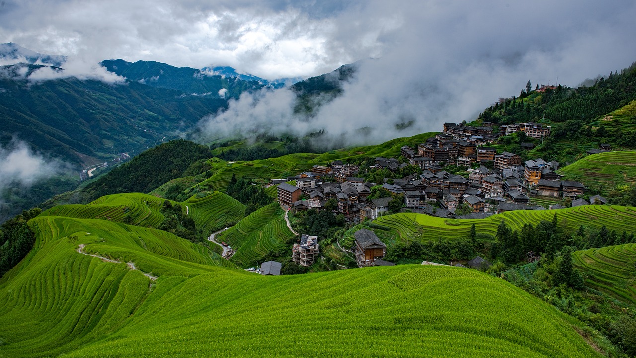 Rice Terrace