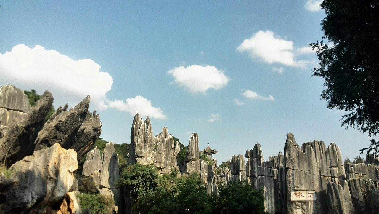 Stone Forest